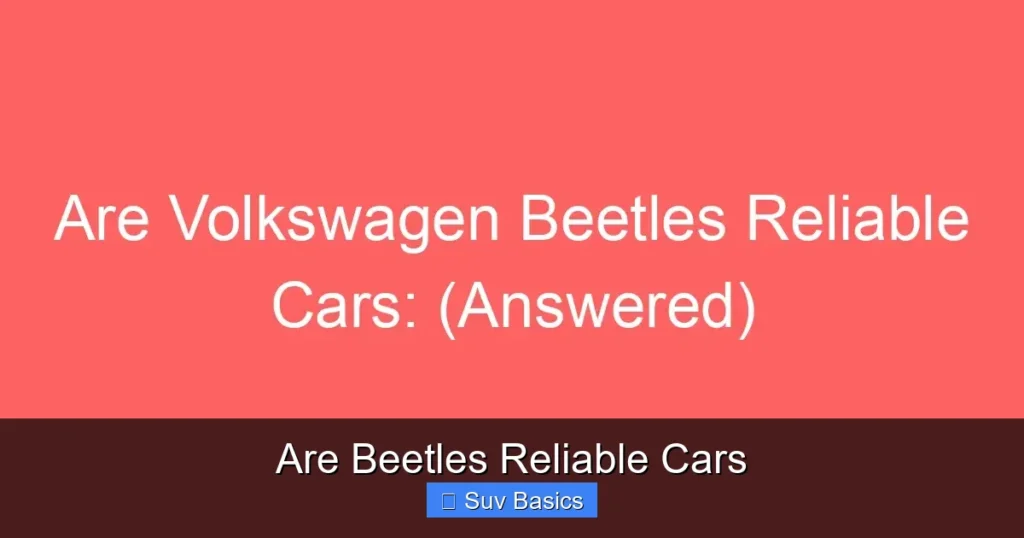 Are Beetles Reliable Cars