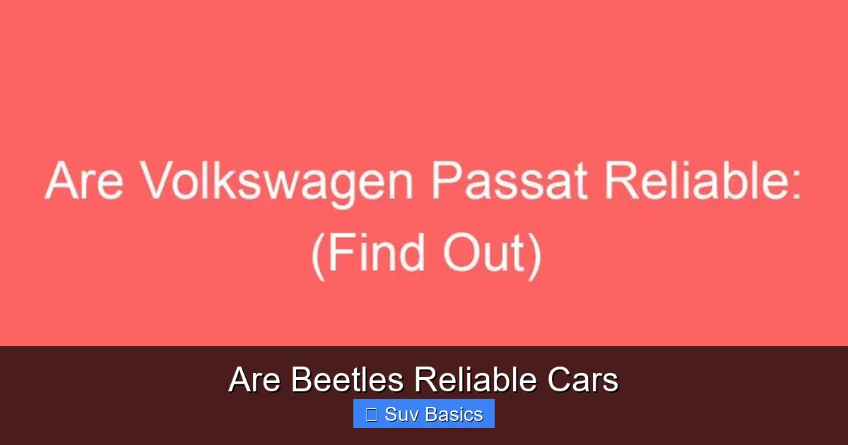 Are Beetles Reliable Cars
