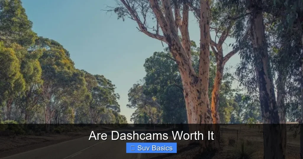 Are Dashcams Worth It