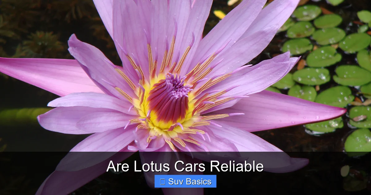Are Lotus Cars Reliable
