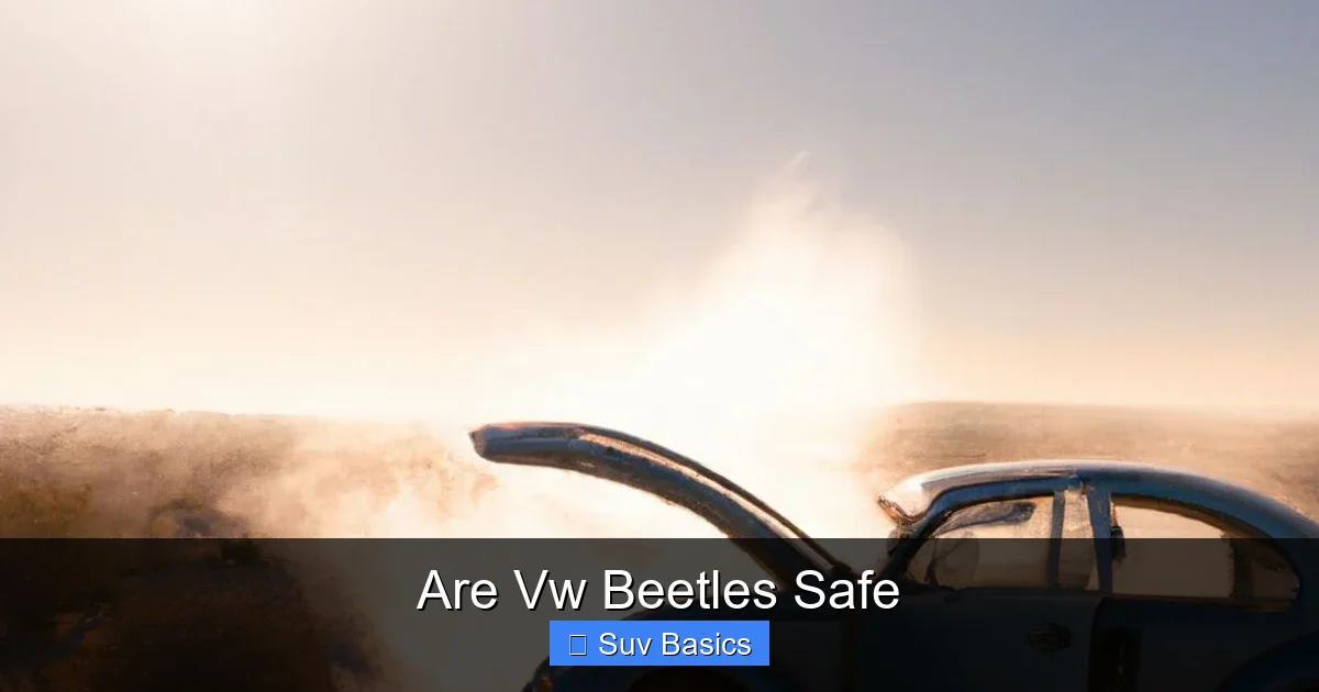 Are Vw Beetles Safe