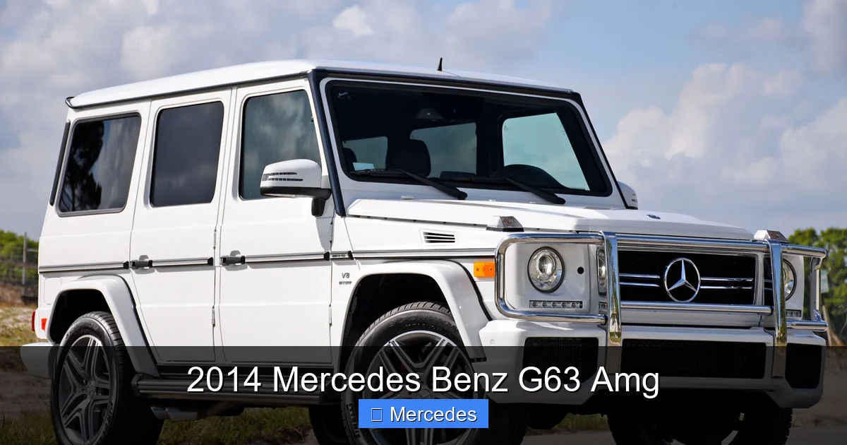 2014 Mercedes Benz G63 Amg