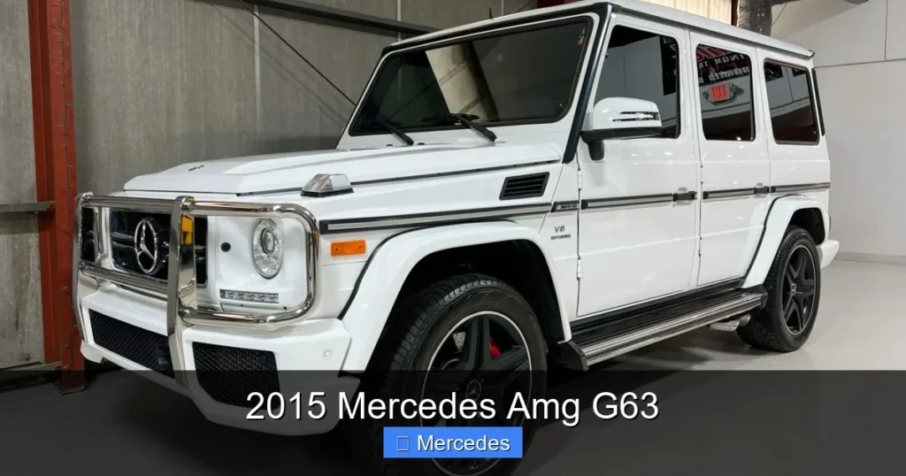 2015 Mercedes Amg G63