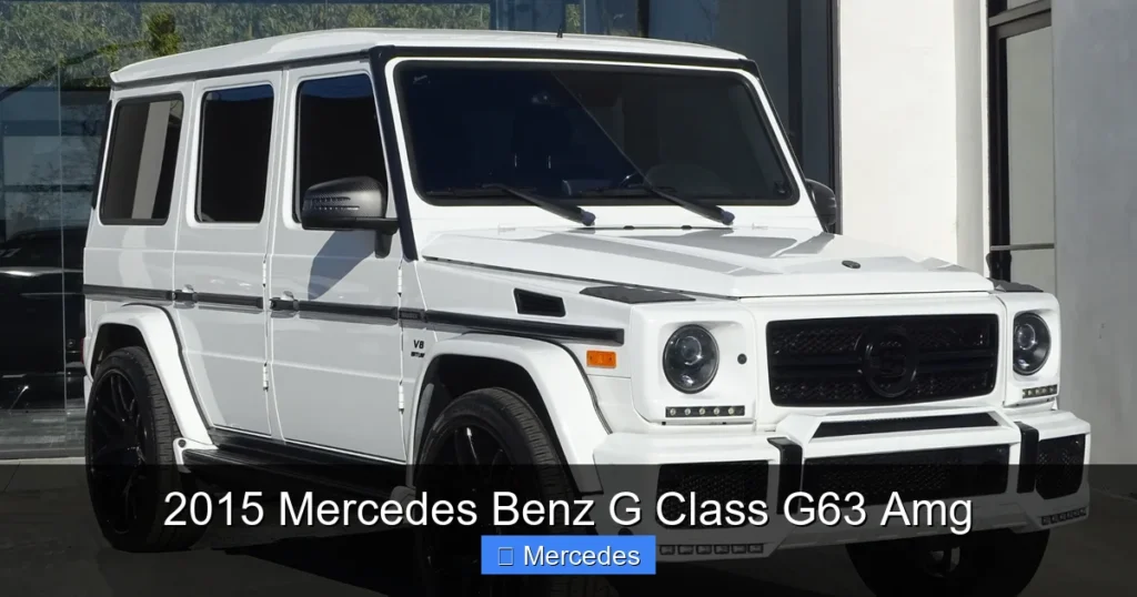 2015 Mercedes Benz G Class G63 Amg