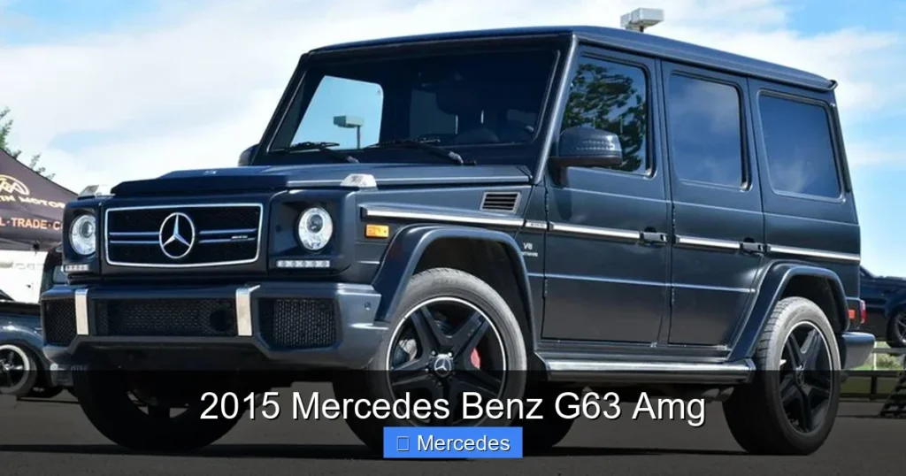 2015 Mercedes Benz G63 Amg