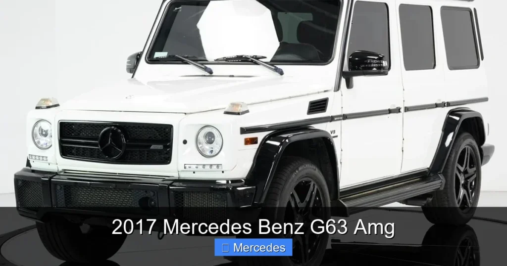 2017 Mercedes Benz G63 Amg