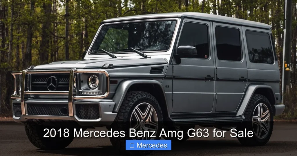 2018 Mercedes Benz Amg G63 for Sale