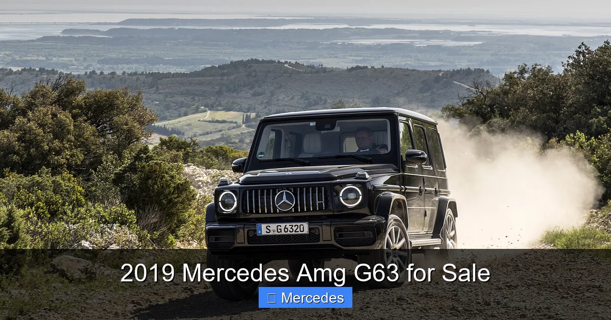 2019 Mercedes Amg G63 for Sale