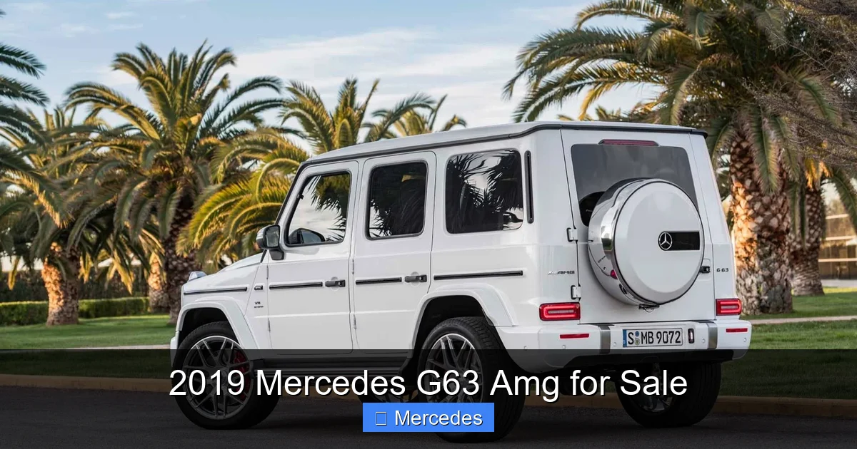 2019 Mercedes G63 Amg for Sale