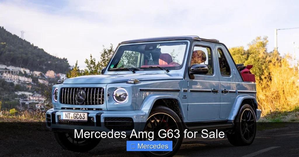Mercedes Amg G63 for Sale
