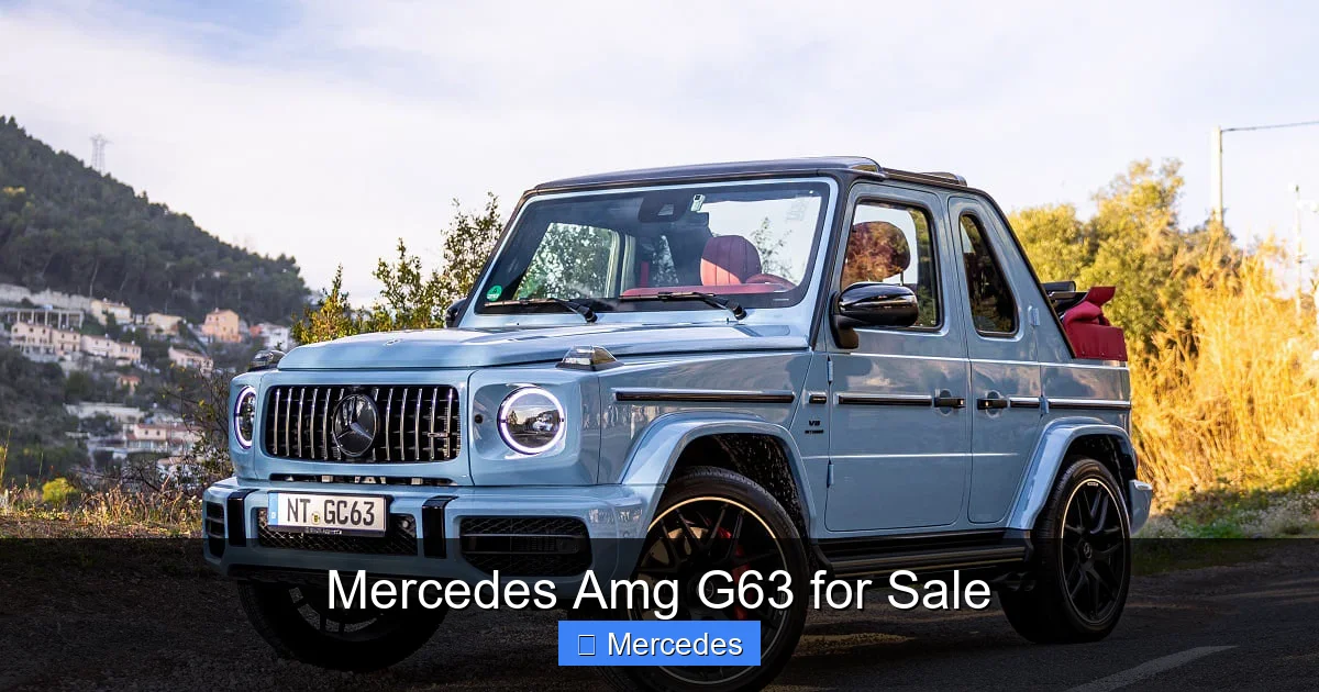 Mercedes Amg G63 for Sale