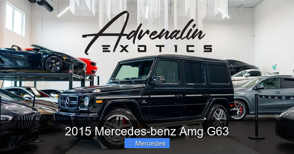 2015 Mercedes-benz Amg G63