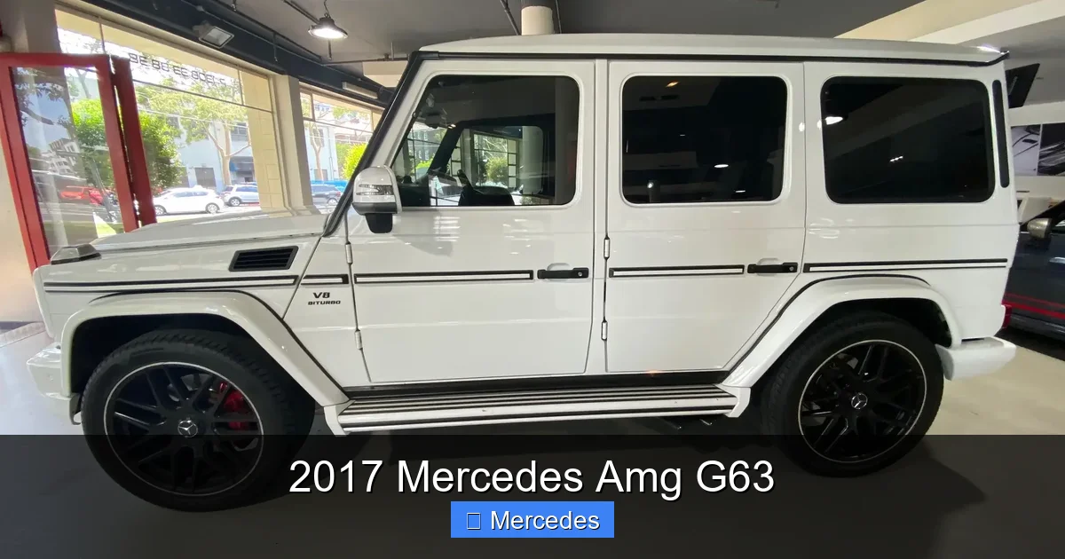 2017 Mercedes Amg G63
