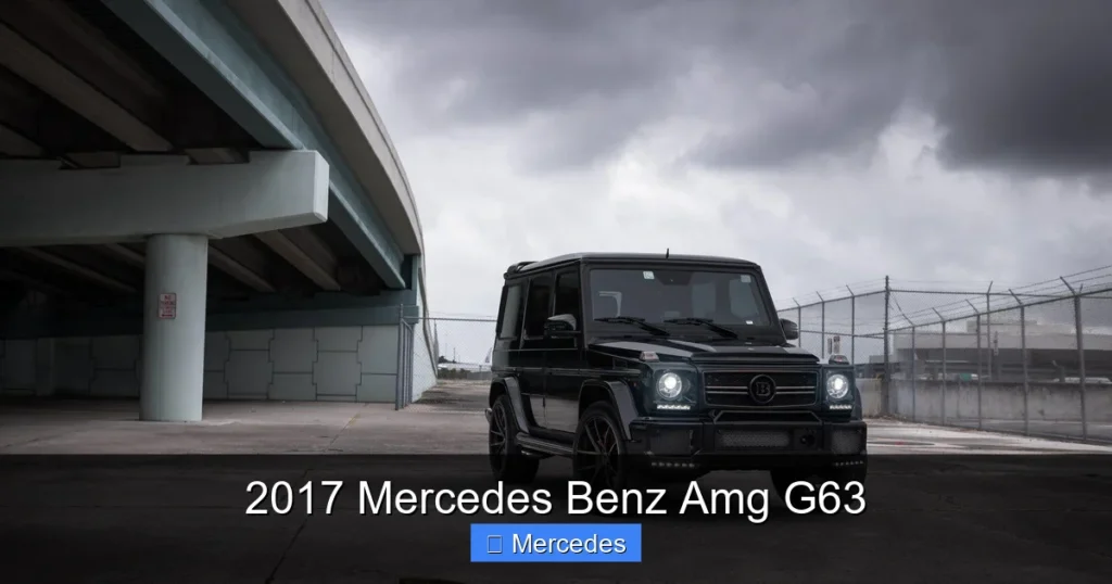 2017 Mercedes Benz Amg G63