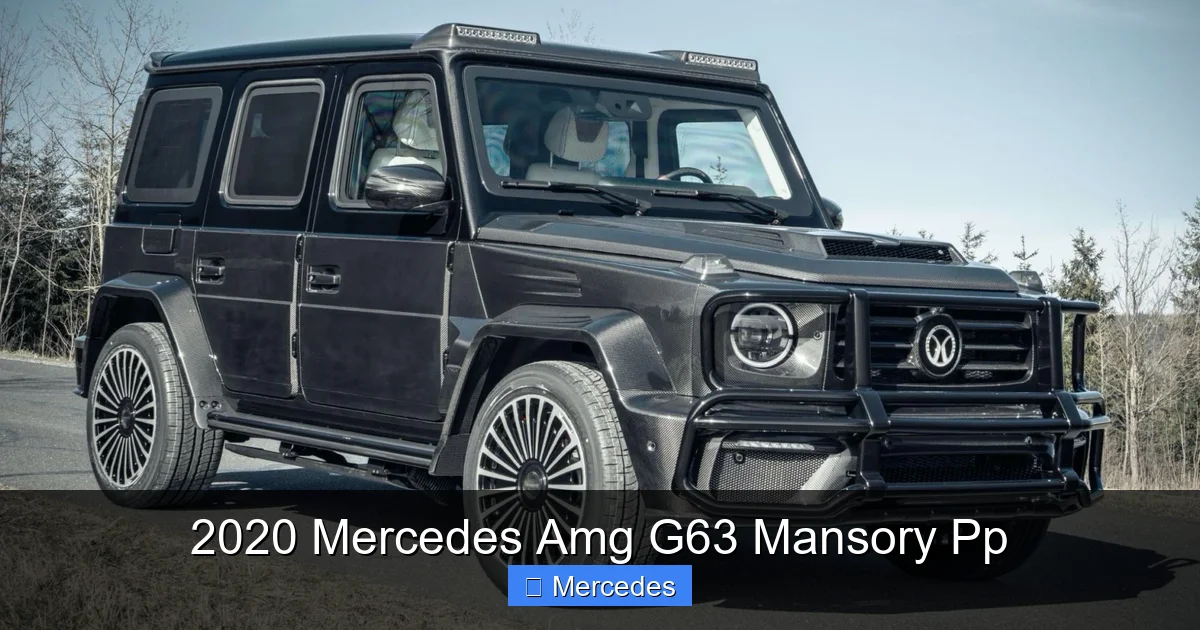 2020 Mercedes Amg G63 Mansory Pp