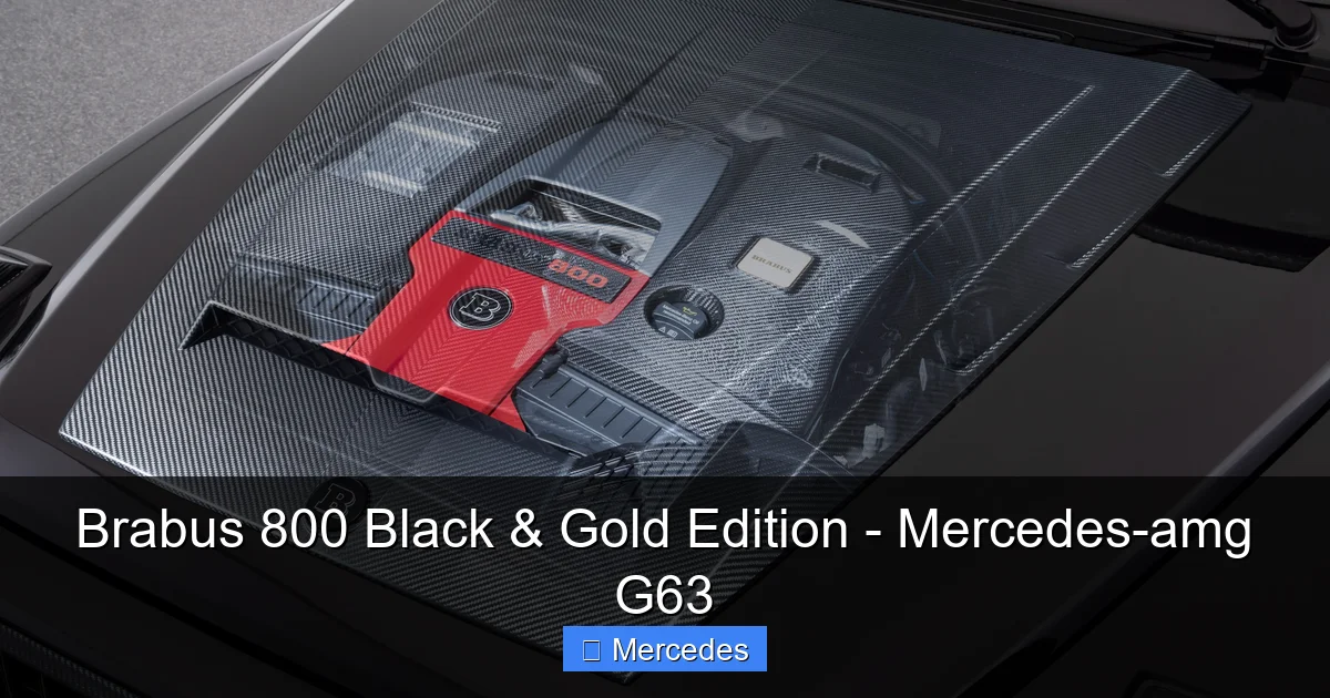 Brabus 800 Black & Gold Edition - Mercedes-amg G63