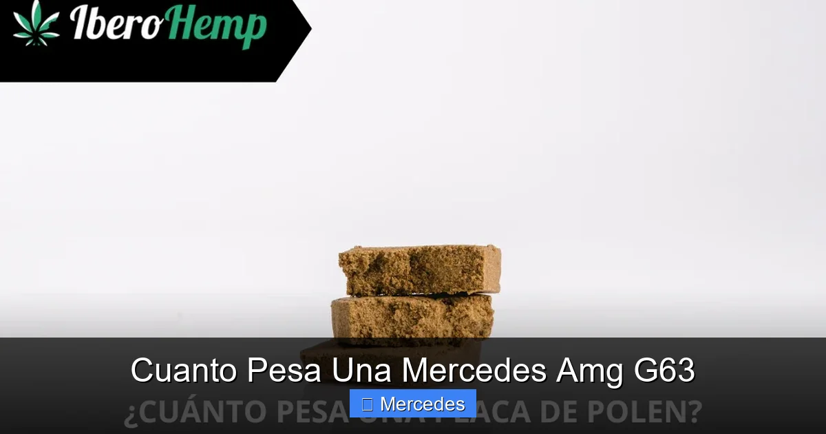 Cuanto Pesa Una Mercedes Amg G63