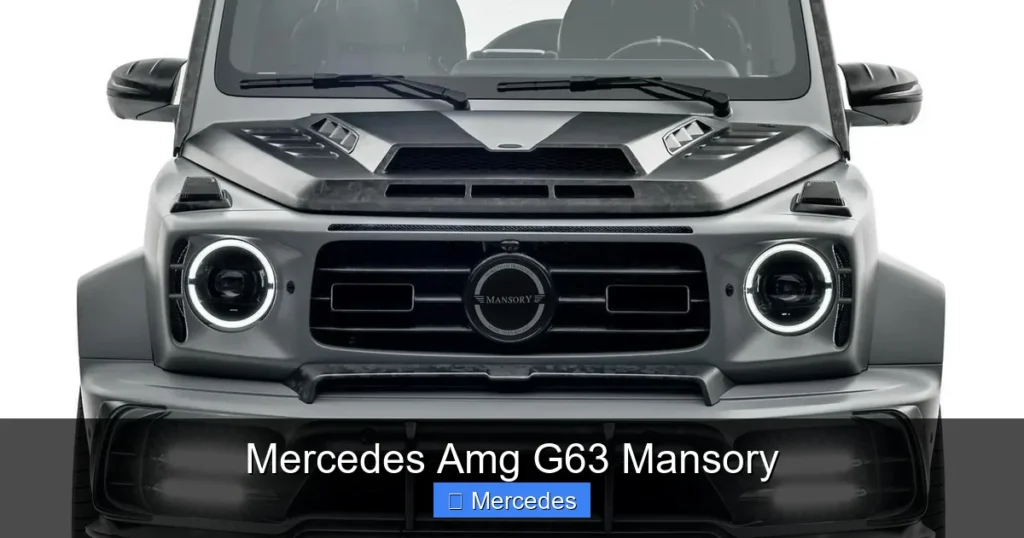 Mercedes Amg G63 Mansory