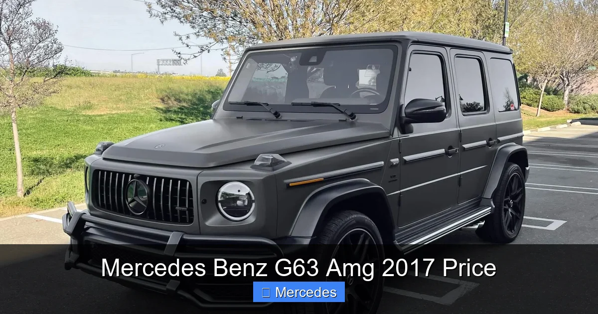 Mercedes Benz G63 Amg 2017 Price