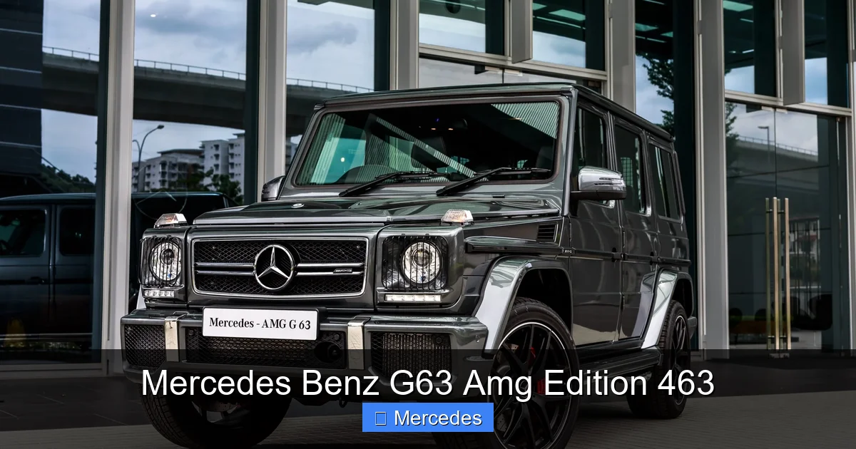 Mercedes Benz G63 Amg Edition 463