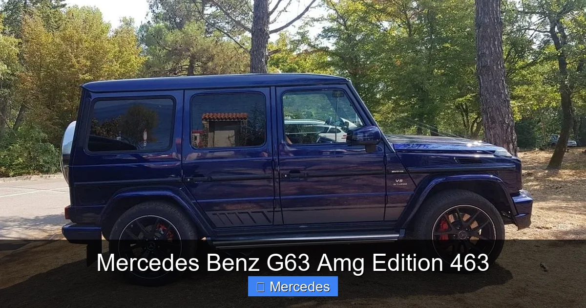 Mercedes Benz G63 Amg Edition 463