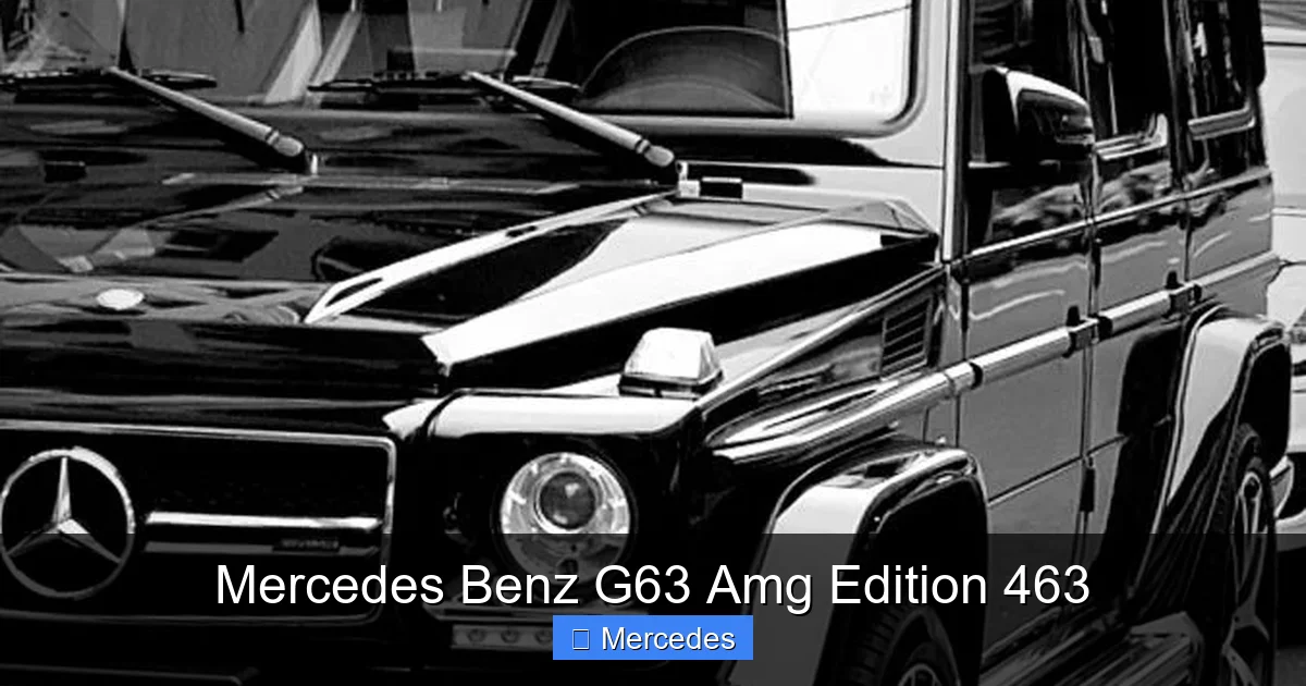 Mercedes Benz G63 Amg Edition 463