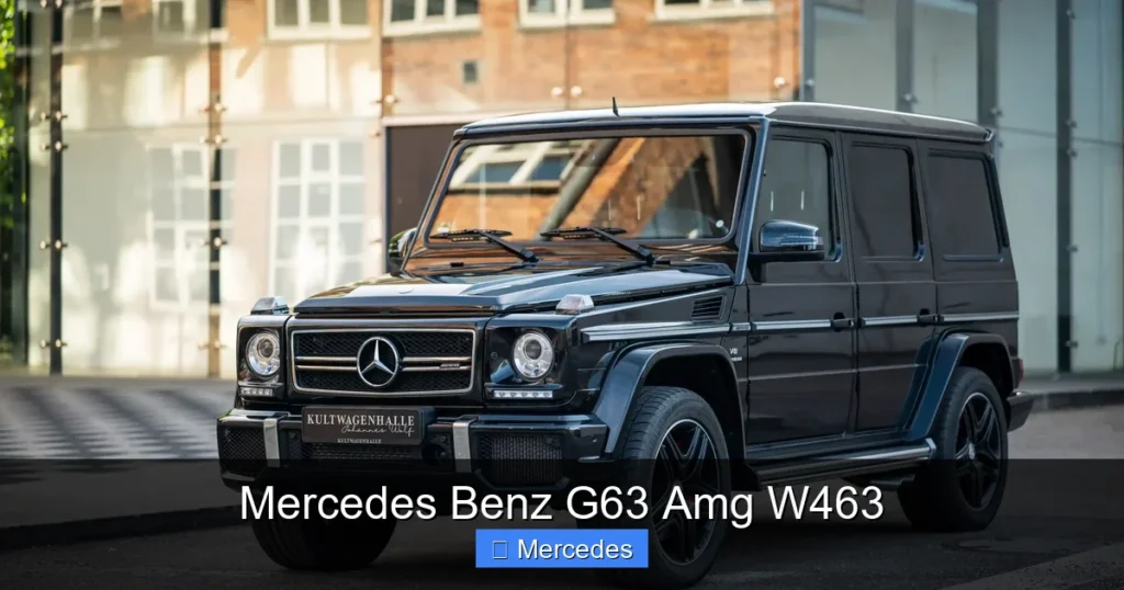 Mercedes Benz G63 Amg W463