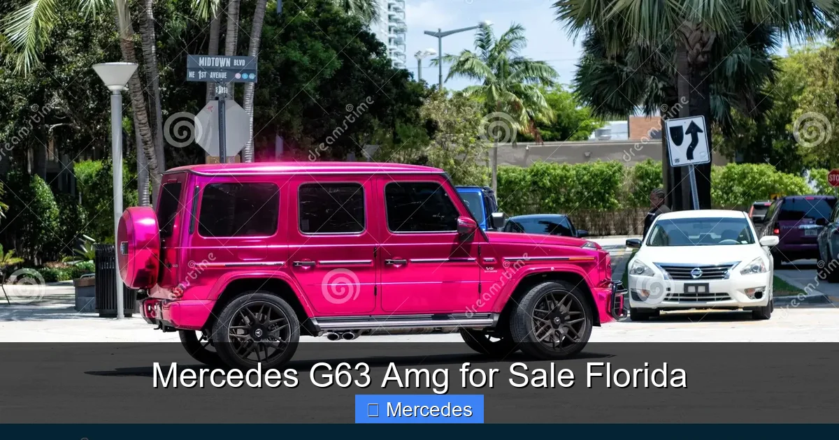 Mercedes G63 Amg for Sale Florida