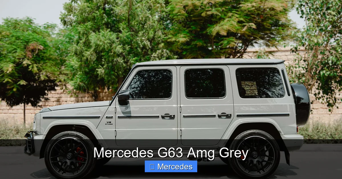 Mercedes G63 Amg Grey