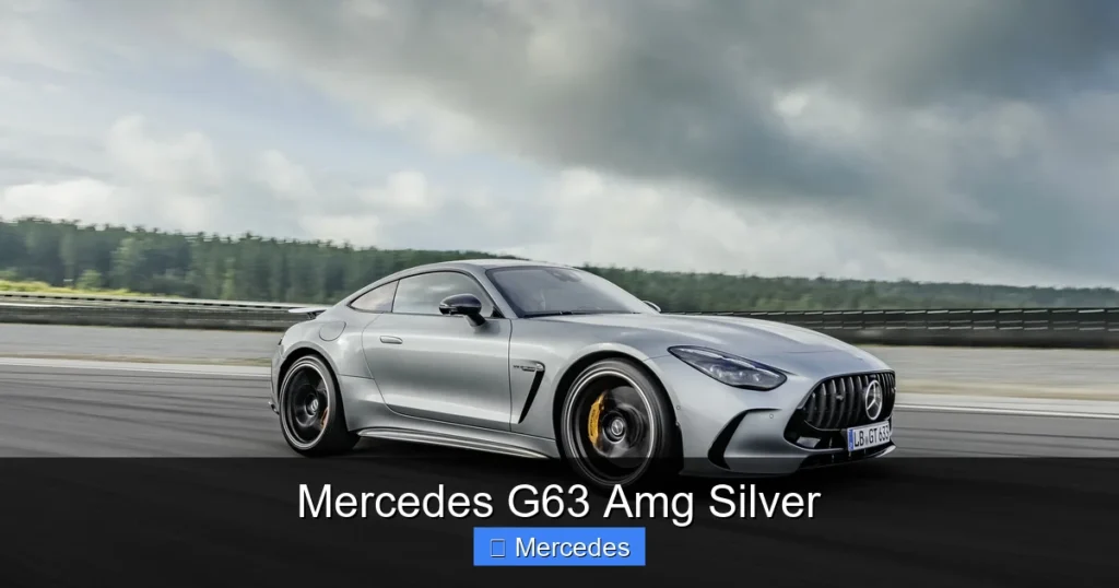 Mercedes G63 Amg Silver