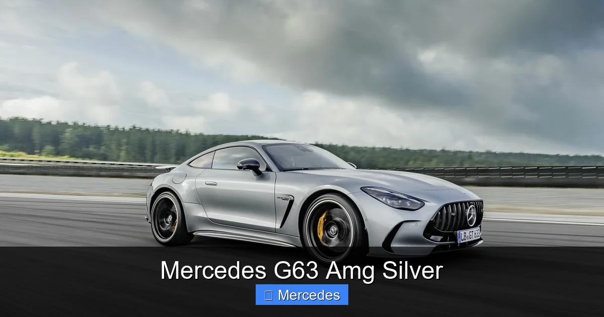 Mercedes G63 Amg Silver